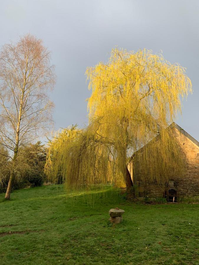 Domaine De La Blanche Hermine Plounerin Exteriér fotografie