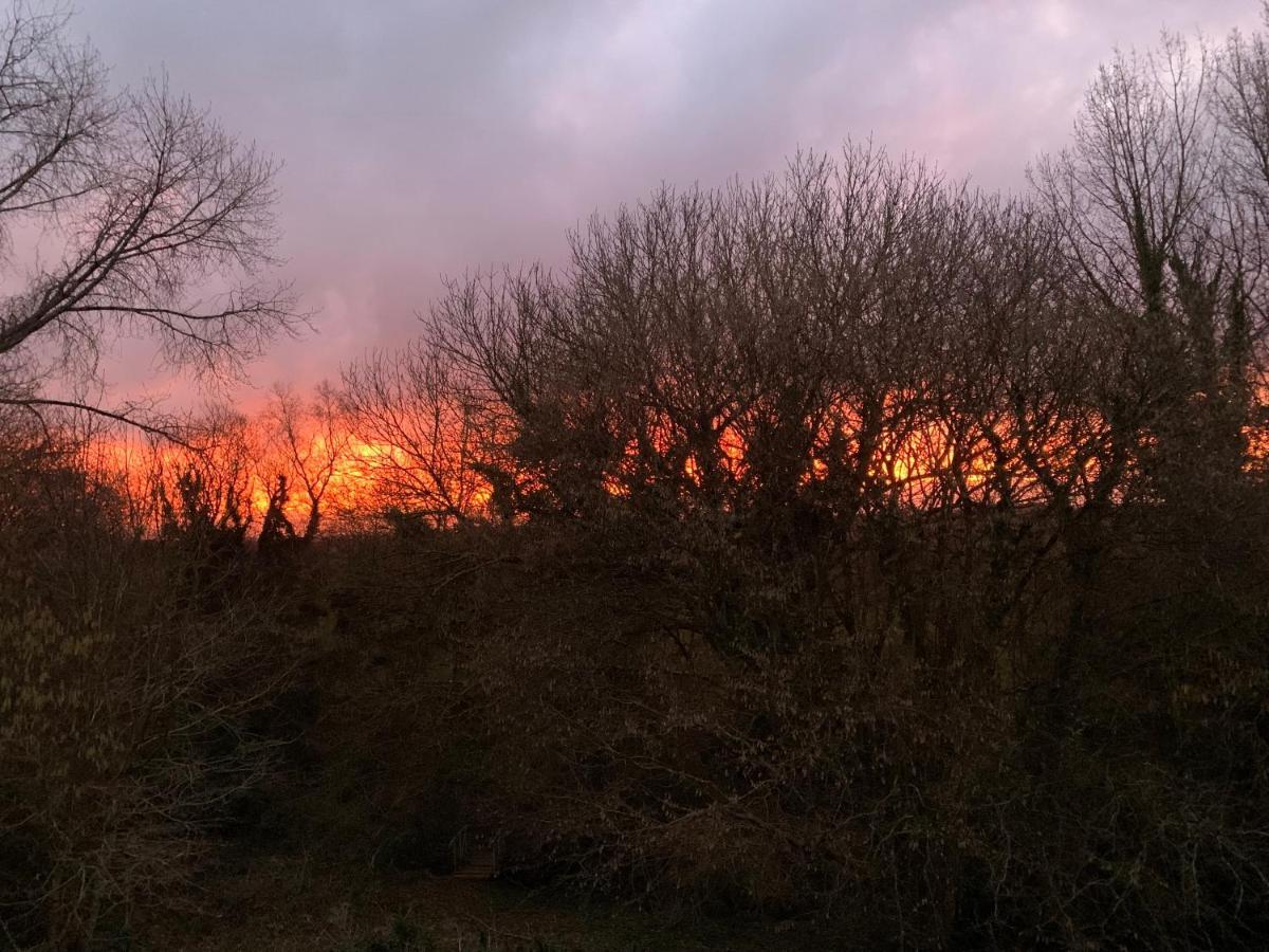 Domaine De La Blanche Hermine Plounerin Exteriér fotografie
